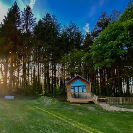 Cabin In The Woods - 1 Bedroom Lodge - Kilgetty Stepaside  외부 사진