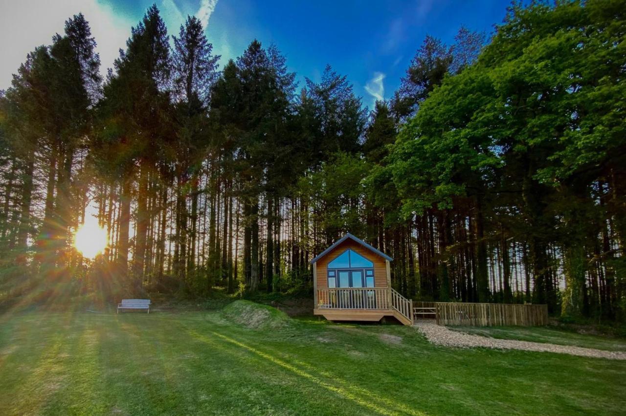 Cabin In The Woods - 1 Bedroom Lodge - Kilgetty Stepaside  외부 사진