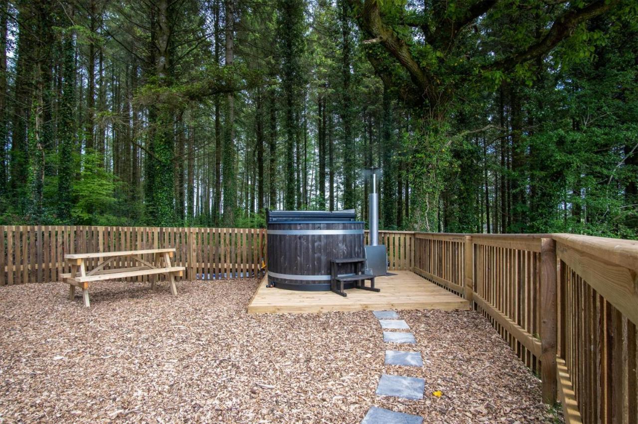 Cabin In The Woods - 1 Bedroom Lodge - Kilgetty Stepaside  외부 사진