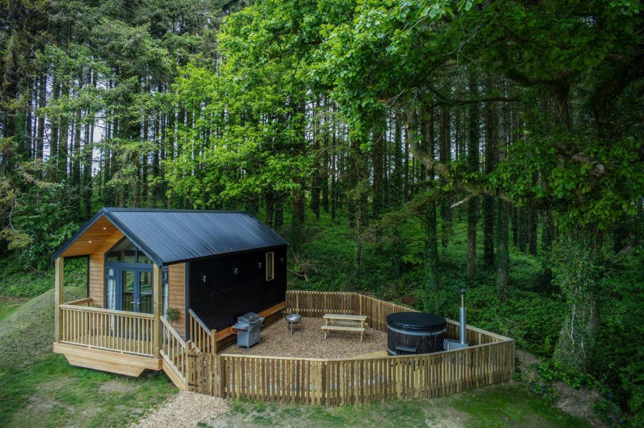 Cabin In The Woods - 1 Bedroom Lodge - Kilgetty Stepaside  외부 사진