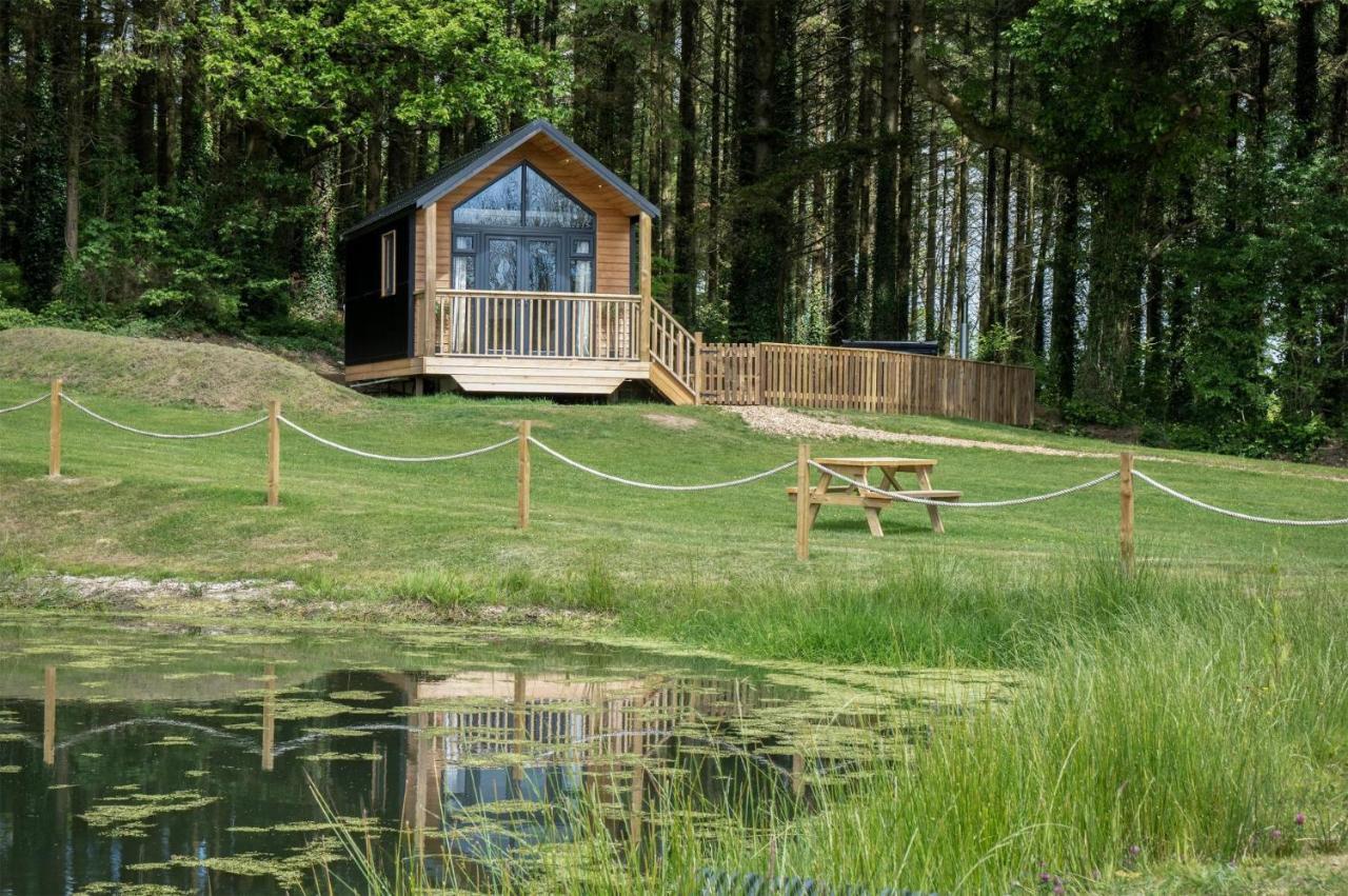 Cabin In The Woods - 1 Bedroom Lodge - Kilgetty Stepaside  외부 사진