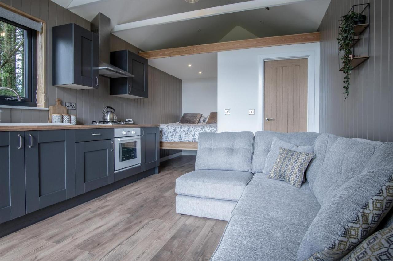 Cabin In The Woods - 1 Bedroom Lodge - Kilgetty Stepaside  외부 사진