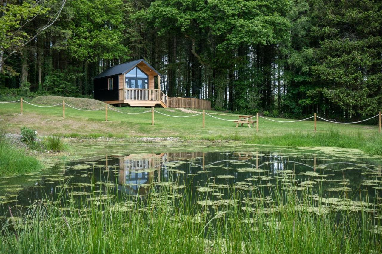 Cabin In The Woods - 1 Bedroom Lodge - Kilgetty Stepaside  외부 사진