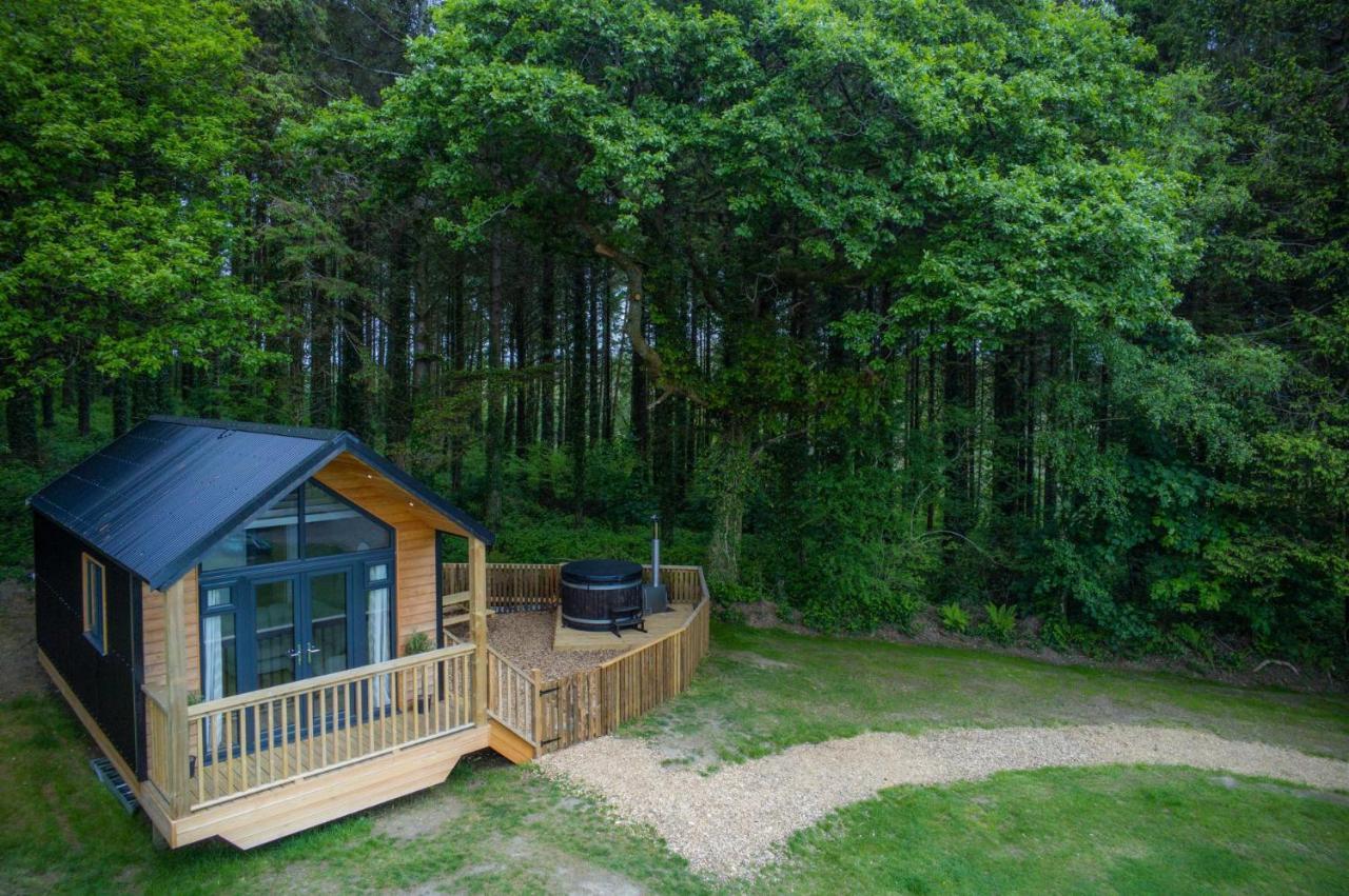 Cabin In The Woods - 1 Bedroom Lodge - Kilgetty Stepaside  외부 사진