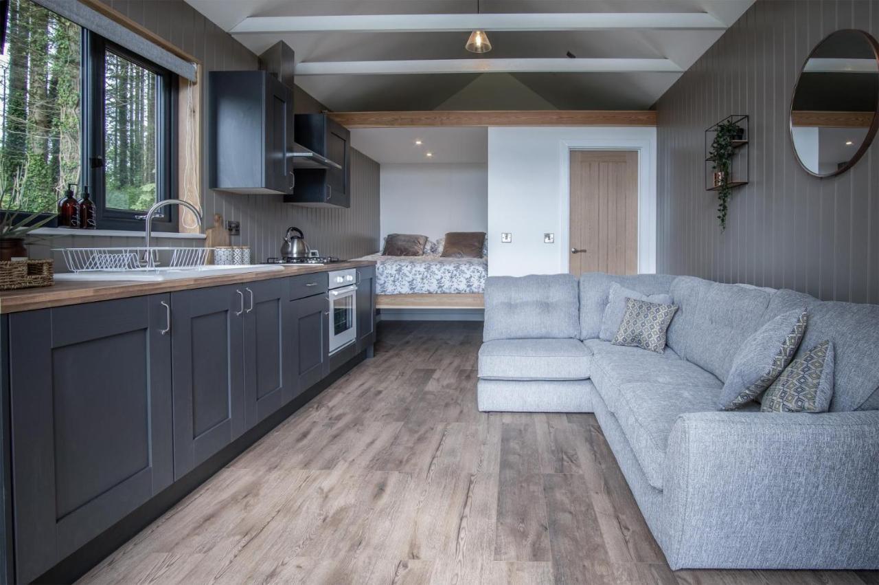 Cabin In The Woods - 1 Bedroom Lodge - Kilgetty Stepaside  외부 사진