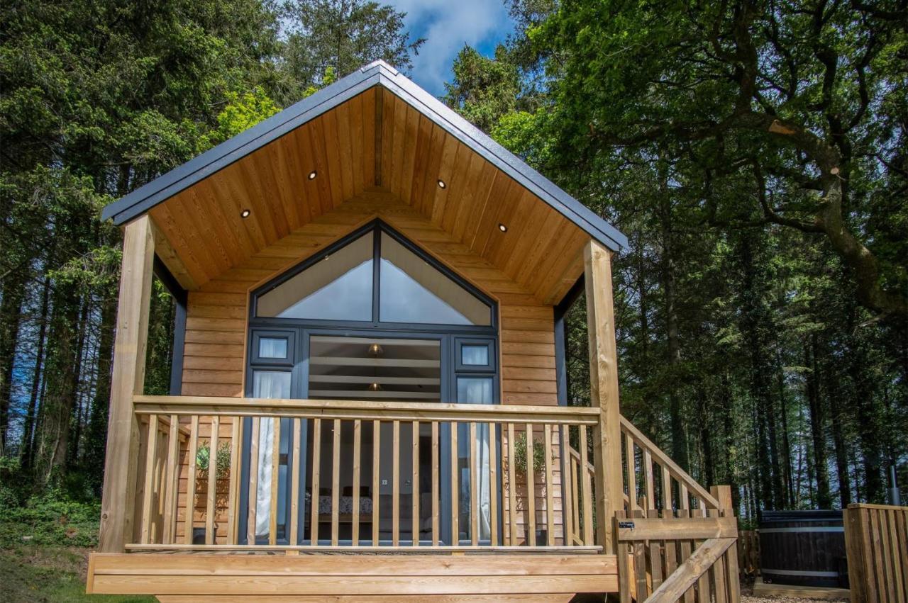 Cabin In The Woods - 1 Bedroom Lodge - Kilgetty Stepaside  외부 사진