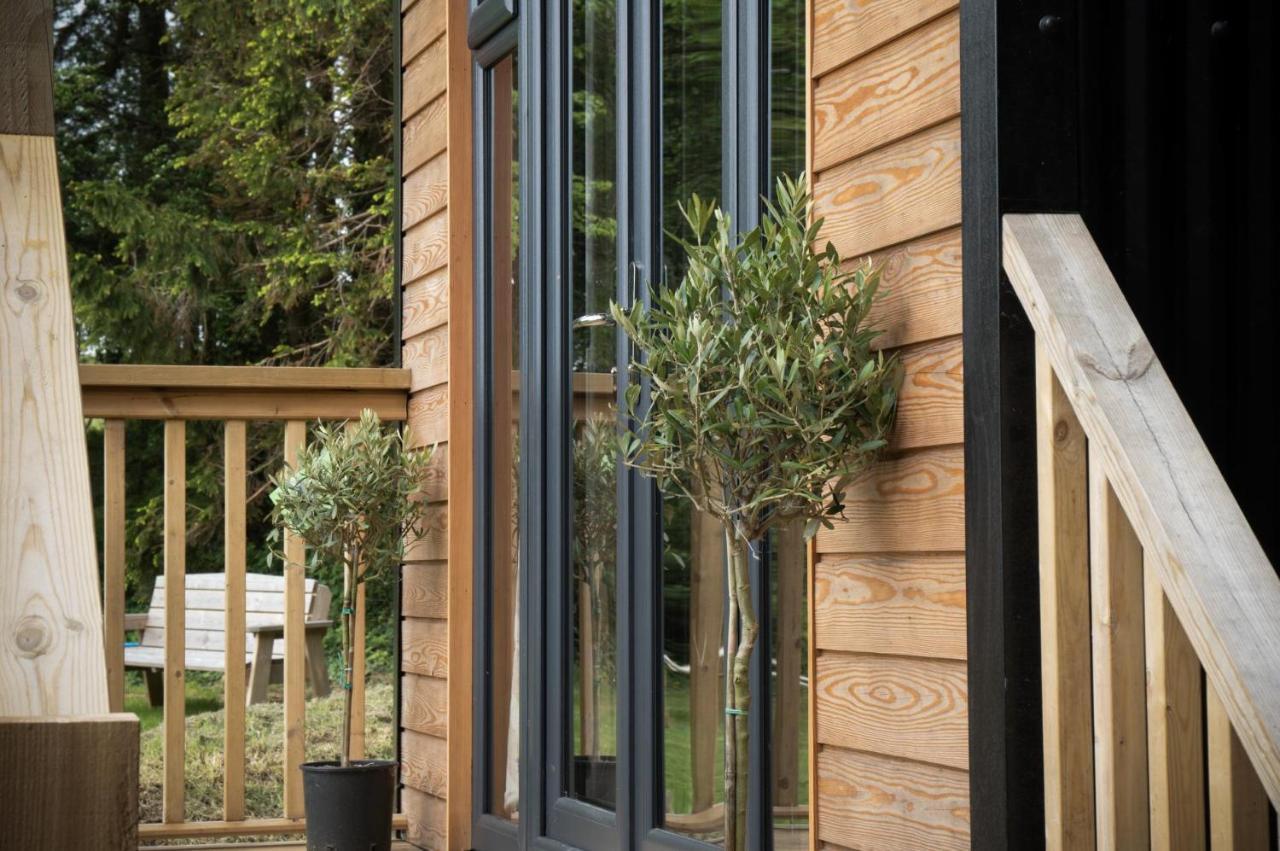 Cabin In The Woods - 1 Bedroom Lodge - Kilgetty Stepaside  외부 사진