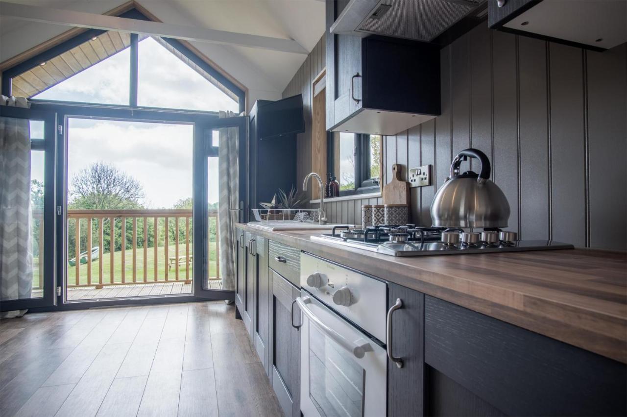 Cabin In The Woods - 1 Bedroom Lodge - Kilgetty Stepaside  외부 사진