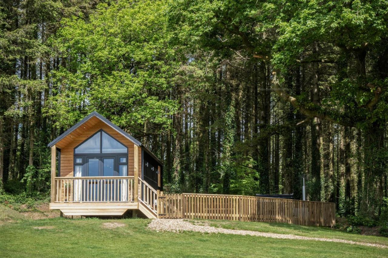 Cabin In The Woods - 1 Bedroom Lodge - Kilgetty Stepaside  외부 사진