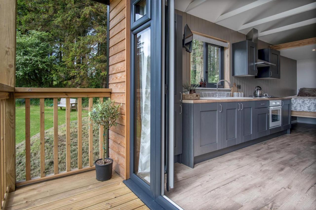 Cabin In The Woods - 1 Bedroom Lodge - Kilgetty Stepaside  외부 사진