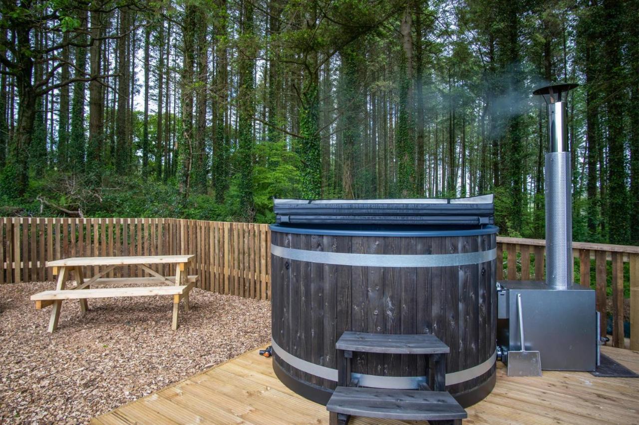 Cabin In The Woods - 1 Bedroom Lodge - Kilgetty Stepaside  외부 사진