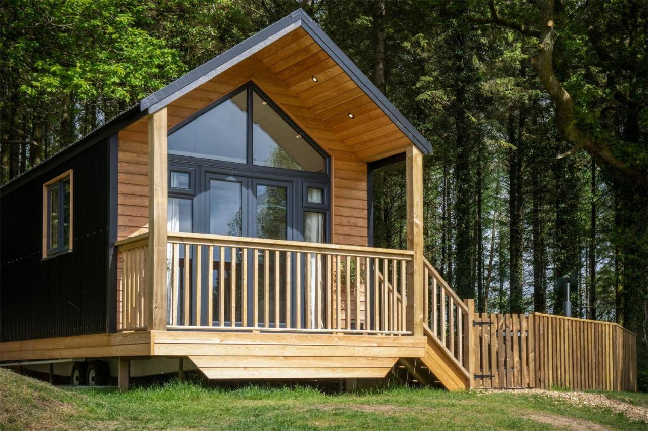 Cabin In The Woods - 1 Bedroom Lodge - Kilgetty Stepaside  외부 사진