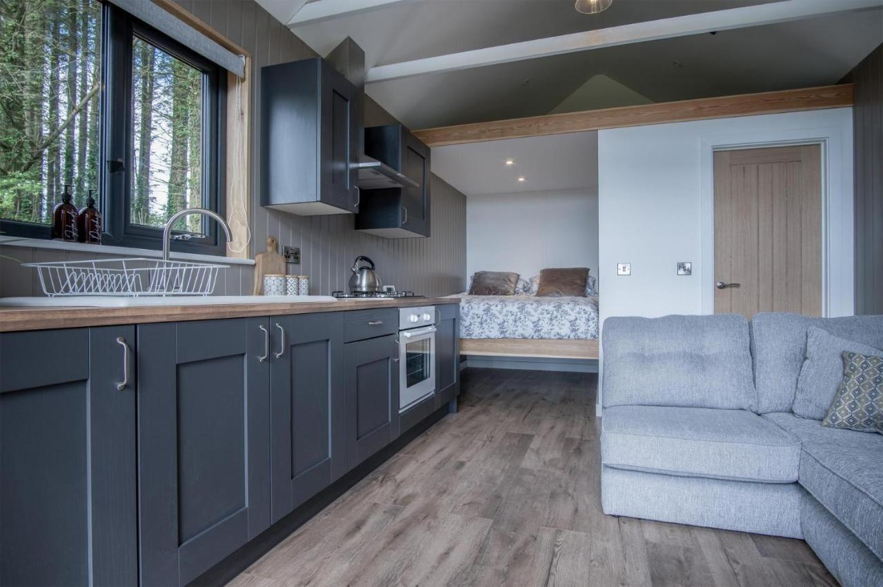 Cabin In The Woods - 1 Bedroom Lodge - Kilgetty Stepaside  외부 사진