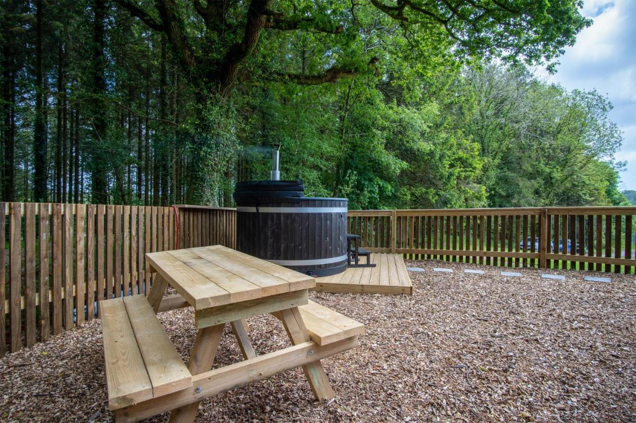 Cabin In The Woods - 1 Bedroom Lodge - Kilgetty Stepaside  외부 사진
