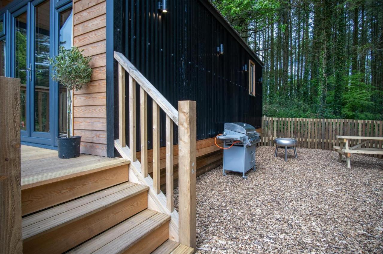 Cabin In The Woods - 1 Bedroom Lodge - Kilgetty Stepaside  외부 사진