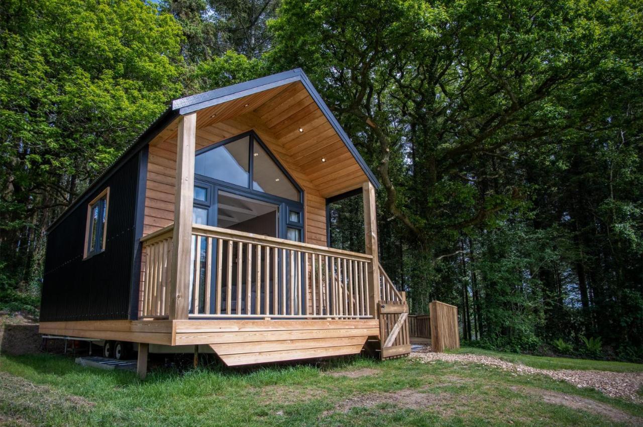 Cabin In The Woods - 1 Bedroom Lodge - Kilgetty Stepaside  외부 사진