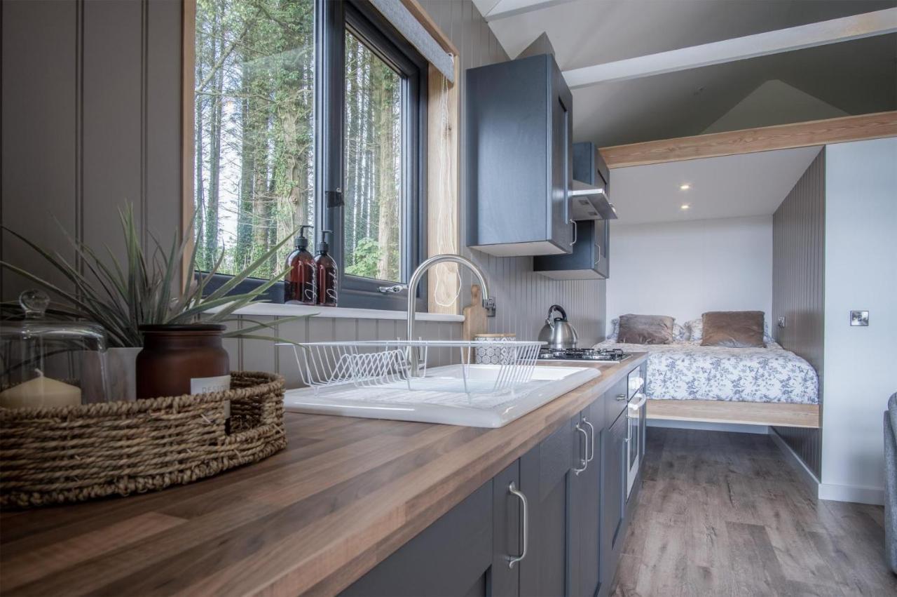 Cabin In The Woods - 1 Bedroom Lodge - Kilgetty Stepaside  외부 사진